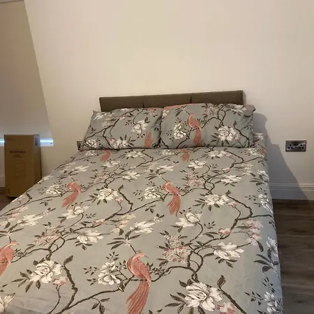 The Shamrock Konukevi